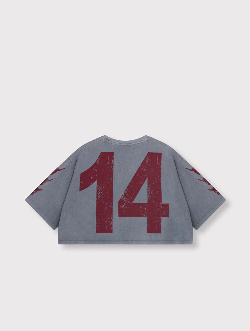 T-Shirt 2014 ALIX