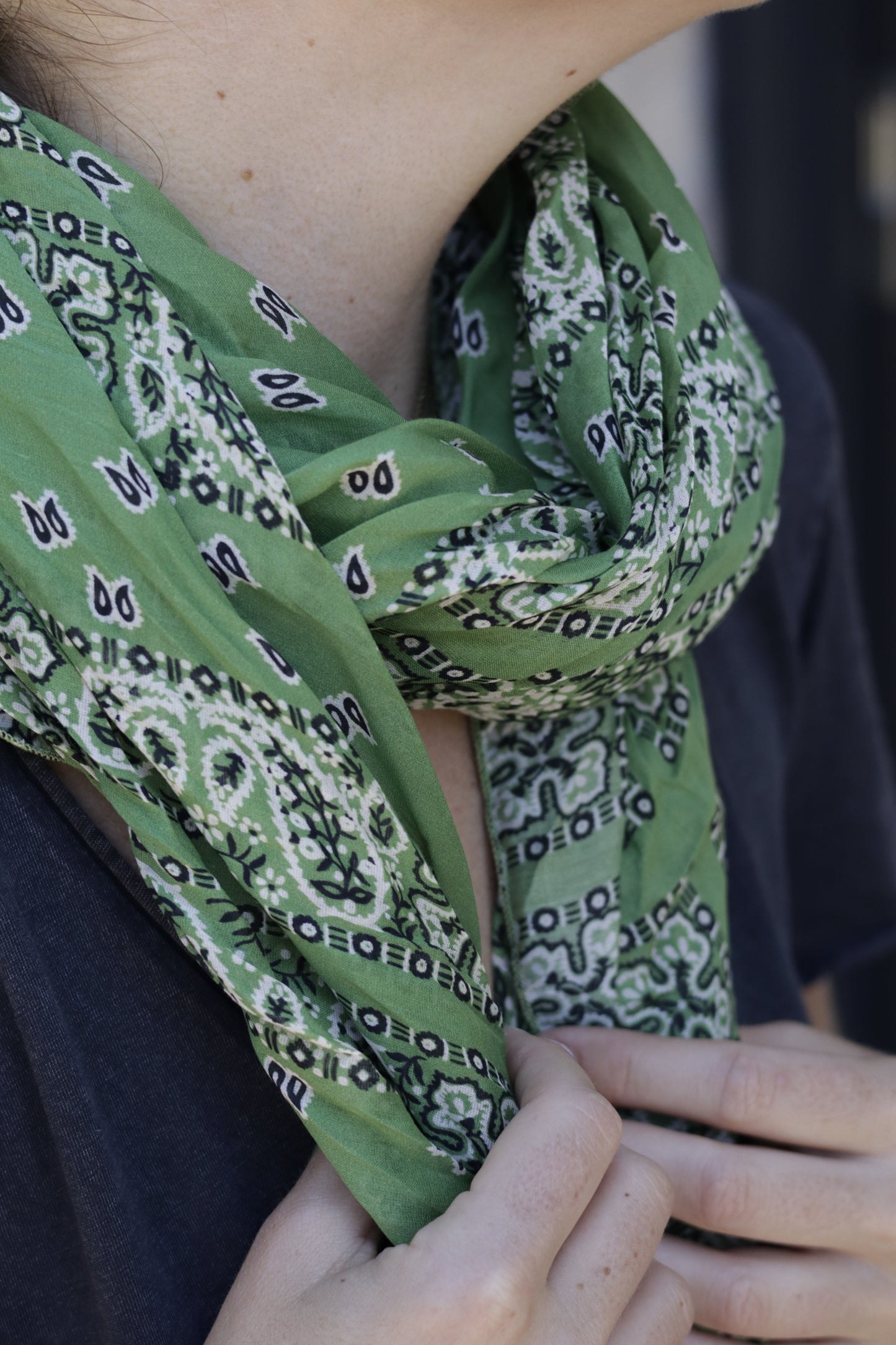 Foulards Bill (3 couleurs)