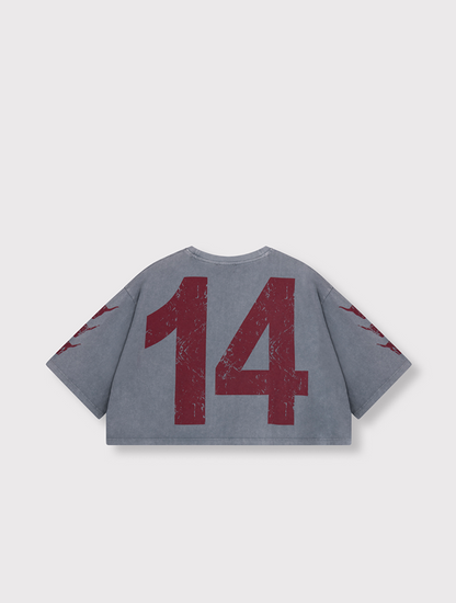 T-Shirt 2014 ALIX