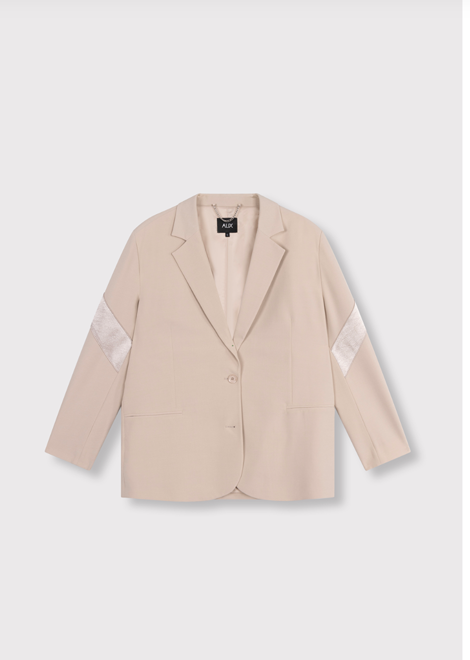 Blazer Shiny