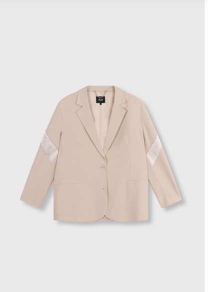 Blazer Shiny