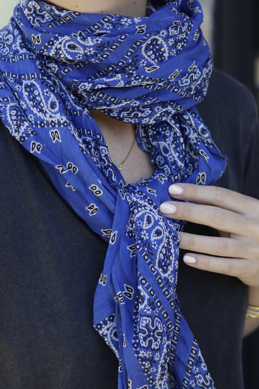 Foulards Bill (3 couleurs)
